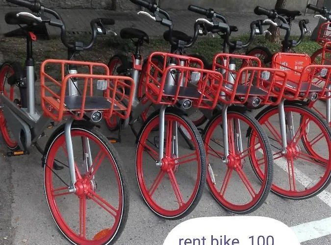 Central Station Affittacamere *