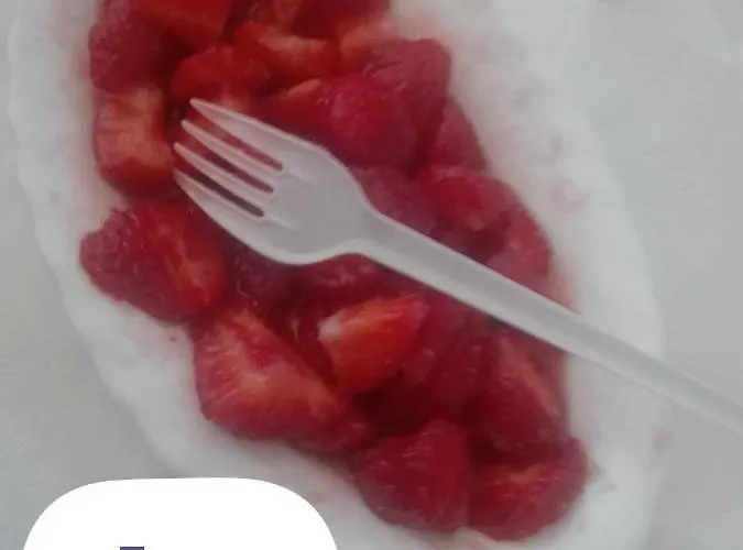 Гостевой дом Central Station Местре